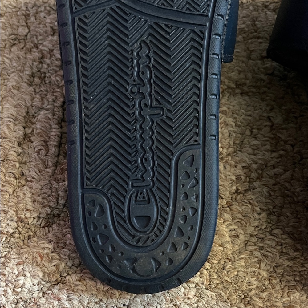 Champion Slides - Picture 6 of 7